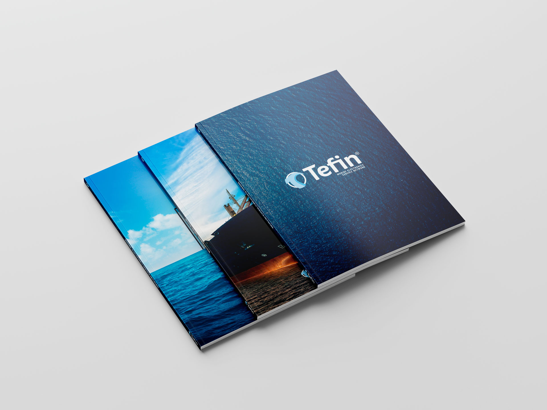 Corporate identity Company profile Tefin